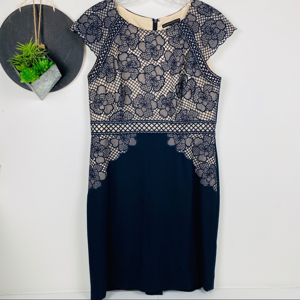 Antonio Melani  Lace Cap Sleeve Midi Dress